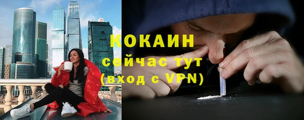 дмт Арсеньев