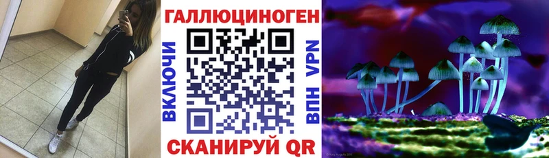 Псилоцибиновые грибы мухоморы  где продают наркотики  Георгиевск 