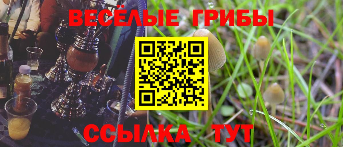 Галлюциногенные грибы ЛСД  Вход с VPN  где купить наркоту  Георгиевск  Псилоцибиновые грибы Cubensis 
